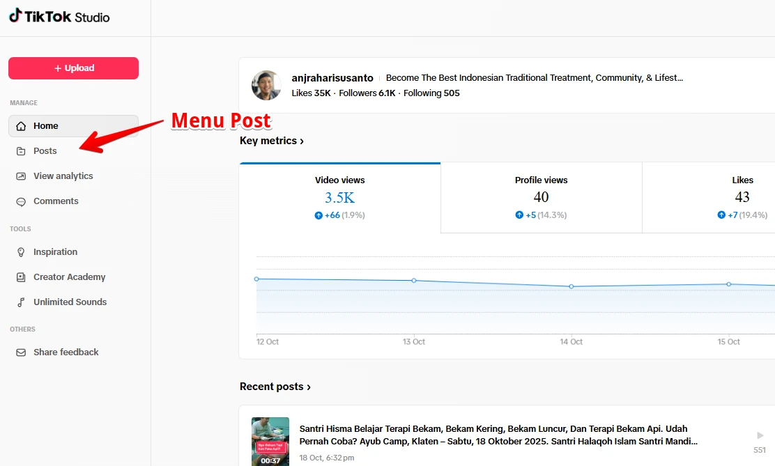 Klik menu post agar video tiktok banyak yang nonton