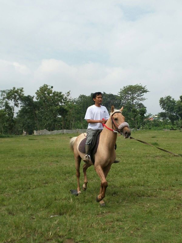 Cara Berkuda Yang Baik, Berlatih Menunggang Kuda Pacu di Klaten