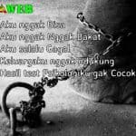 mindset rantai gajah cara belajar menjadi pengusaha sukses
