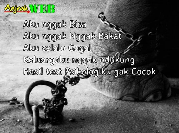 mindset rantai gajah cara belajar menjadi pengusaha sukses