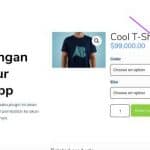 Plugin Whatsapp Wordpress Yang Bagus, Chat Whatsapp Langsung Dari Web oke wa