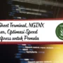 Cheat Sheet Terminal, NGINX Dasar, Optimasi Speed Wordpress untuk Pemula